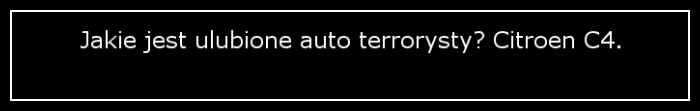auto terrorysty